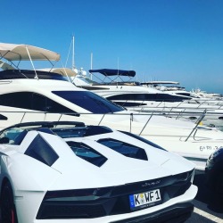 puertobanus-marbella:  Another glorious day in Puerto Banus Marbella Spain ☀️☀️☀️☀️☀️☀️ . . . #lamborghini #puertobanus #marbella #luxury #lifestyle #luxuryhomes #luxurycars #luxurylife #costadelsol  #dualipa #spain #españa #lovespain