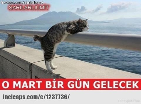 O MART BİR GÜN GELECEK