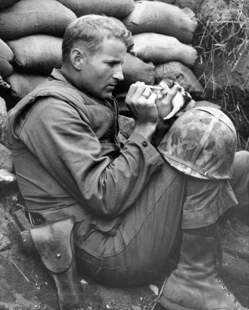 vintageeveryday:The amazing story behind the picture of a soldier feeding a tiny kitten in Korean Wa