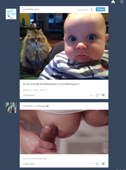 Sometimes my tumblr feed is a little whack…and a lot funny.