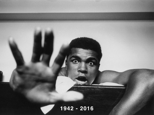 baileyresearch: Muhammad Ali - The Greatest of All Time