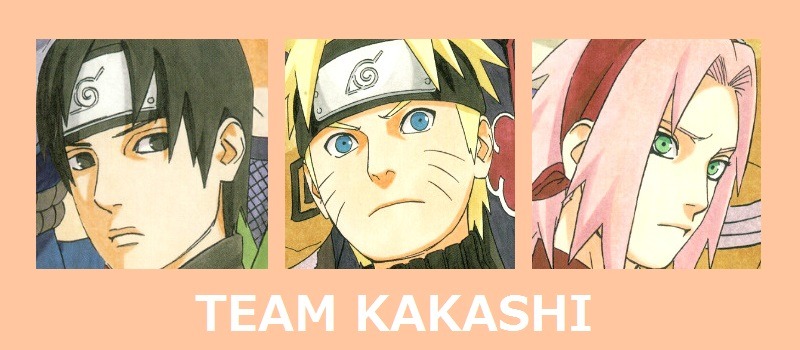 summer-fukuro:  T E A M S