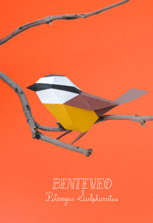mayahan:  Paper Crafts by Estudio Guardabosques 