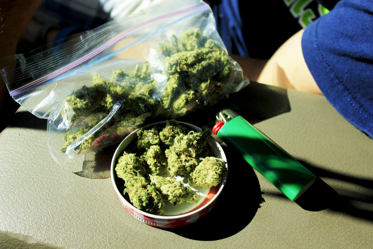 a-high-ass-ginger:  Blue Dream! It’s what’s in the bowl! I follow back everyone!