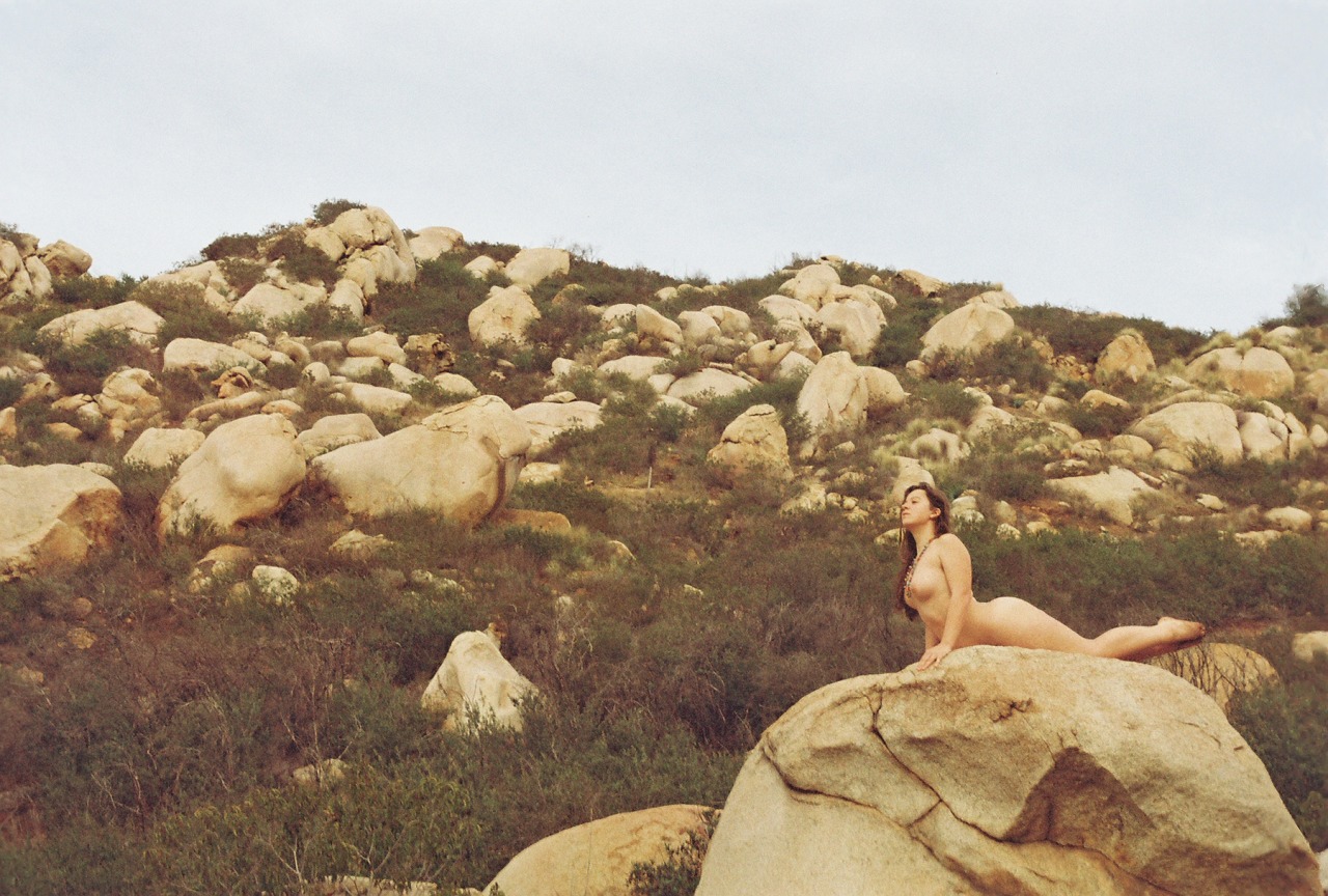 sweetestsolace:  this is how it began, vagabond, yellow clover, tender language California