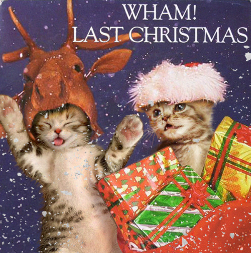 And a classic single for the holidays! Last Kitmas… I gave you my heart…