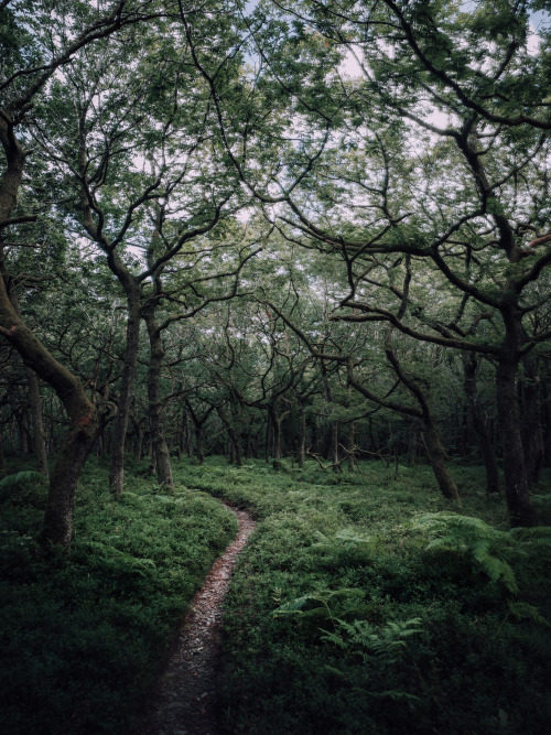 August 2021, SomersetPhotographed by Freddie Ardley - Instagram @freddieardley