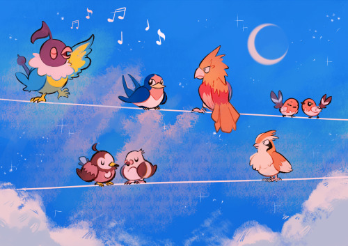 ieafy:I forgot to upload this drawing of Pokebirds i did a WHILE? ago..!
