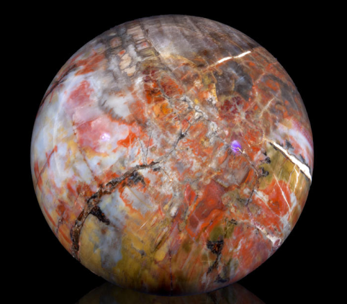 Petrified Wood Sphere, Araucarioxylon arizonicum, Triassic - Chinle Formation, Northern Arizona