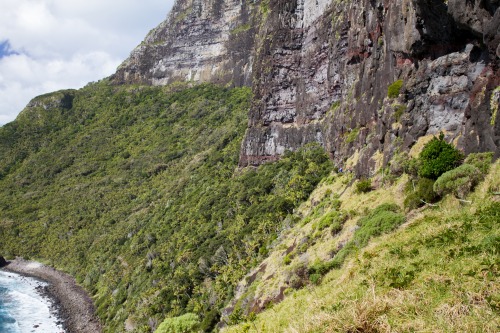 Lord Howe Island, hiking down Mt Gower (November 2013)