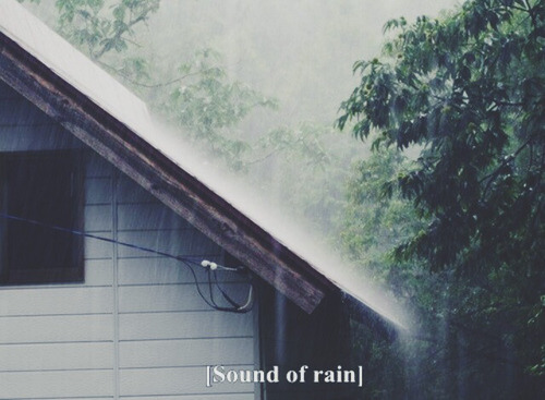 cristacadaver:  on We Heart It.