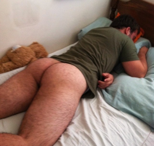 bears-cubs-cum:  Two Bears facing dowm…Cute!