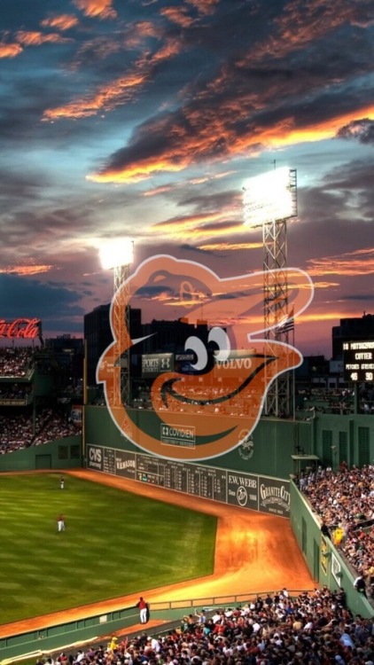 Baltimore Orioles /requested by @arts-tavern/