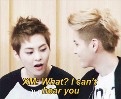 minseoked-blog:  when minseok cannot hear whatever it is yifan’s trying to tell him.  