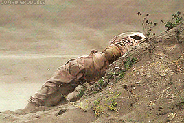 jumpingpuddles:Happy 20th anniversary to Stargate SG-1!