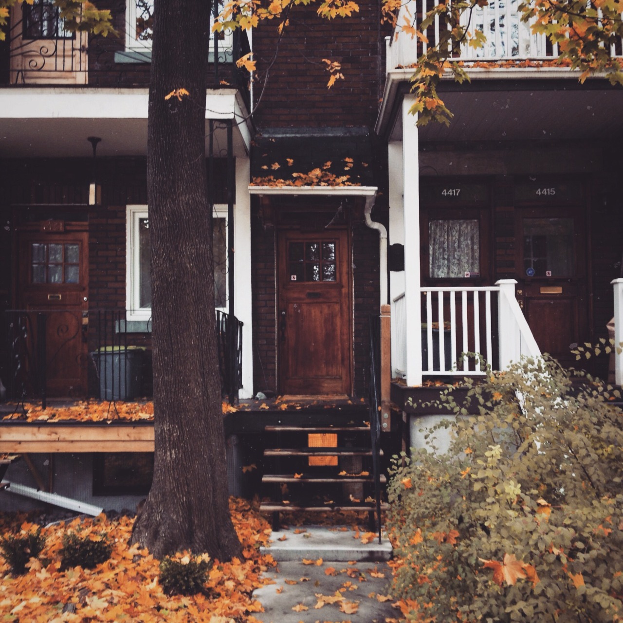 helloancolie:  Near @novelteashop house. ❤️