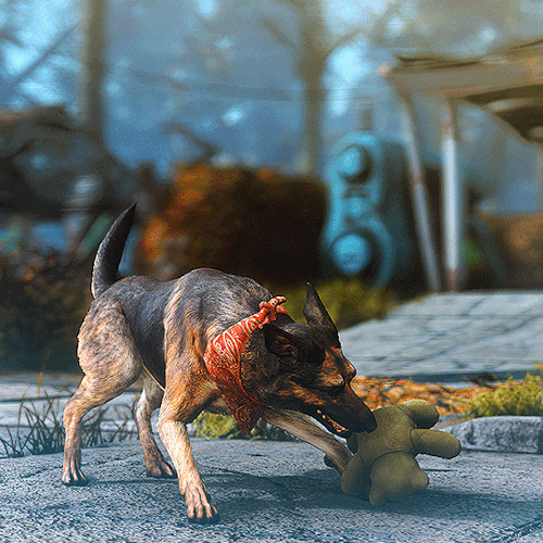 DOGMEAT + Teddy Bear 🧸 Fallout 4 (2015)