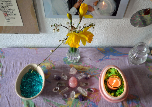 Small altar setup for Ostara:- Flowers from my garden- A small crystal wheel made of amethyst, quart
