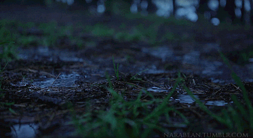 narabean: I like it when it rains hard. It sounds like white noise everywhere, which is like silence