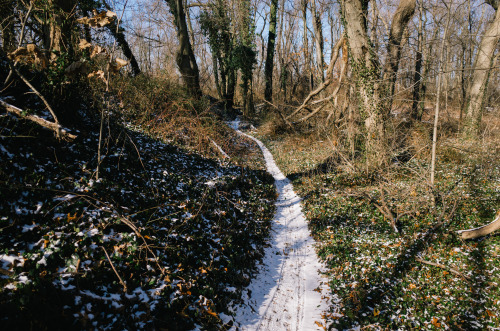 chrispino: Base miles…MTB style