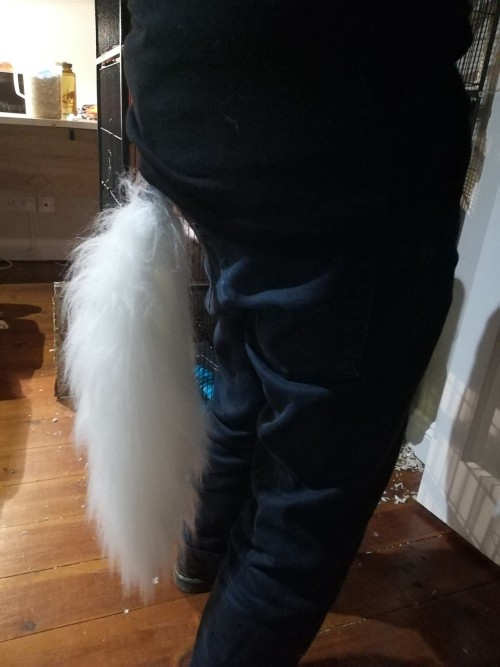 I Had Some Spare White Fur So I Made A Tail!!!!