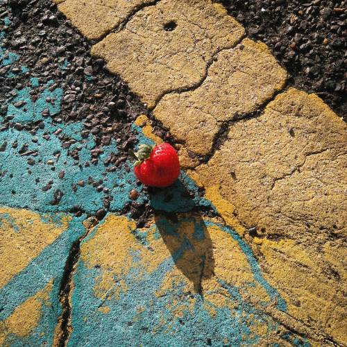 #theonethatgotaway #strawberry #Road #sun #colourful #goldenhour