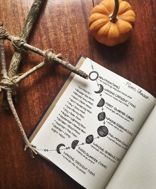 teacupsandcauldrons:The moon phases page of my grimoire ☽◯☾