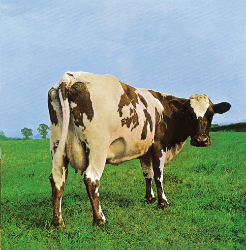 Storm Thorgerson, Aubrey Powell, artwork for Atom Heart Mother, Pink Floyd, 1970