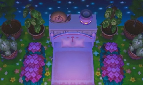 madelaidecrossesanimals: Pancetti’s sleep sanctuary. ➥ 0894 - 7711 - 986
