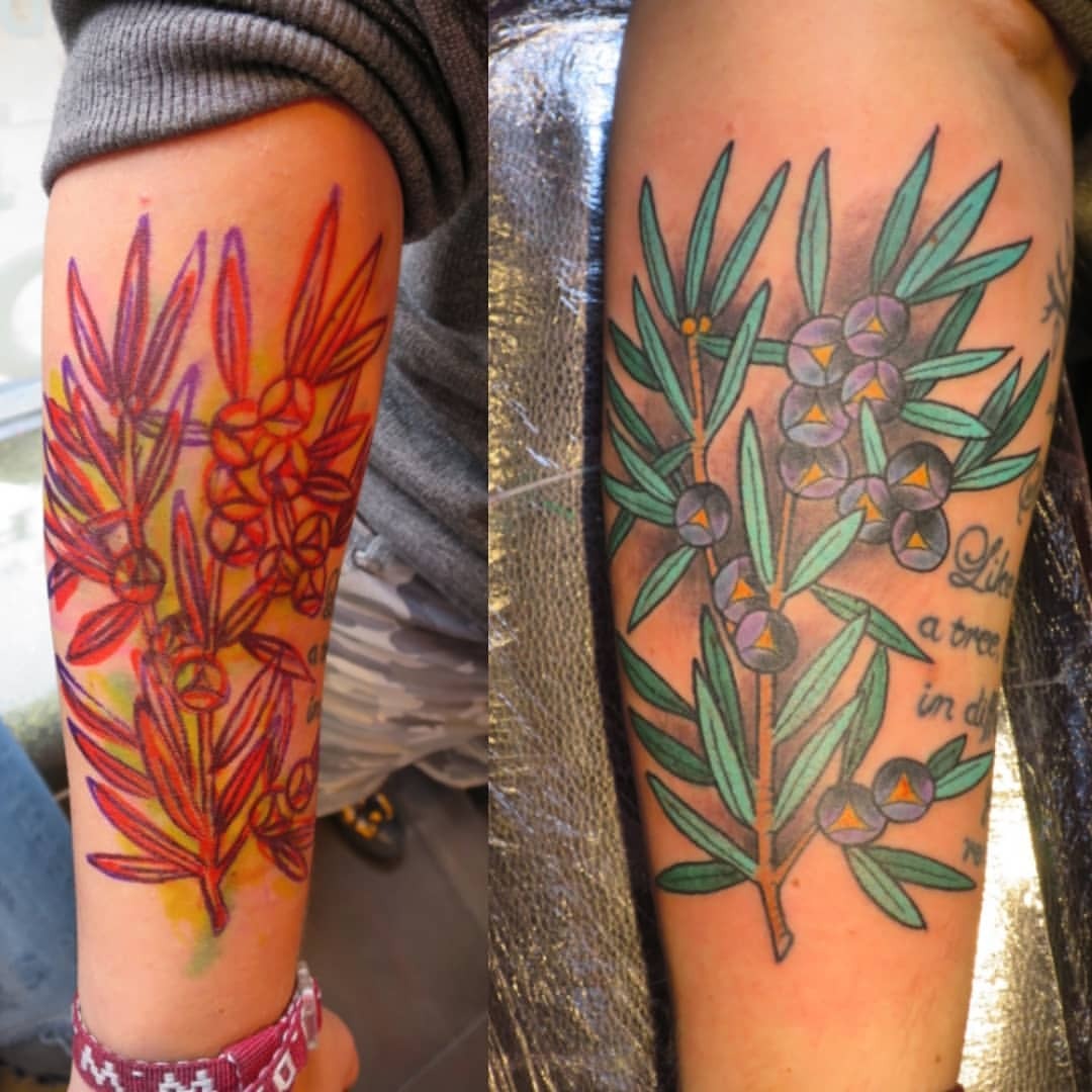 MODIFIED TATTOO GALLERY - 92 Photos - 3586 Aloma Ave, Winter park, Florida  - Tattoo - Phone Number - Yelp
