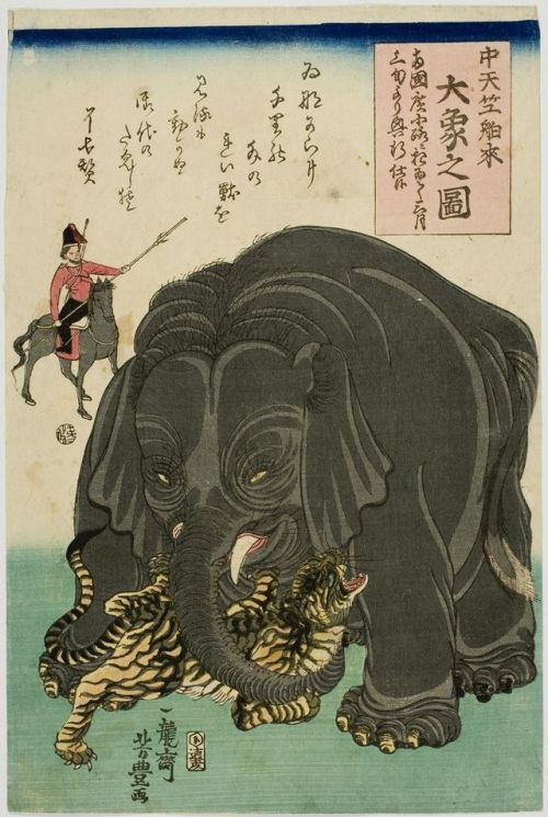 A Picture of a Newly Imported Great Elephant from Central India, Utagawa Yoshitoyo. Painted in the L