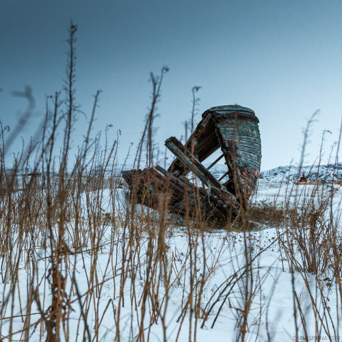 Kola Peninsula, January 2014.© Daria Spirina