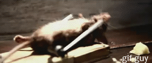 gif-guy:  http://gif-guy.tumblr.com/ lo que no te mate te hace mas fuerte….. 