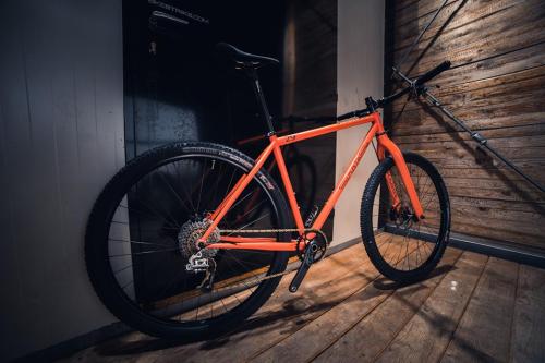 SingleBe ORANGE 29er