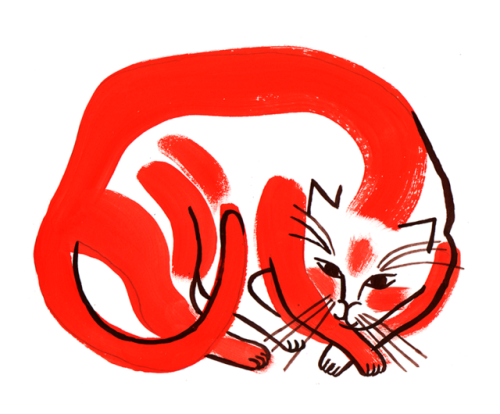 juliebrouant:24 février: mon chat orange
