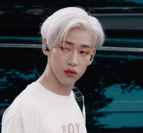 Bambam And Todoroki