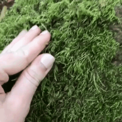 💚 💚 💚