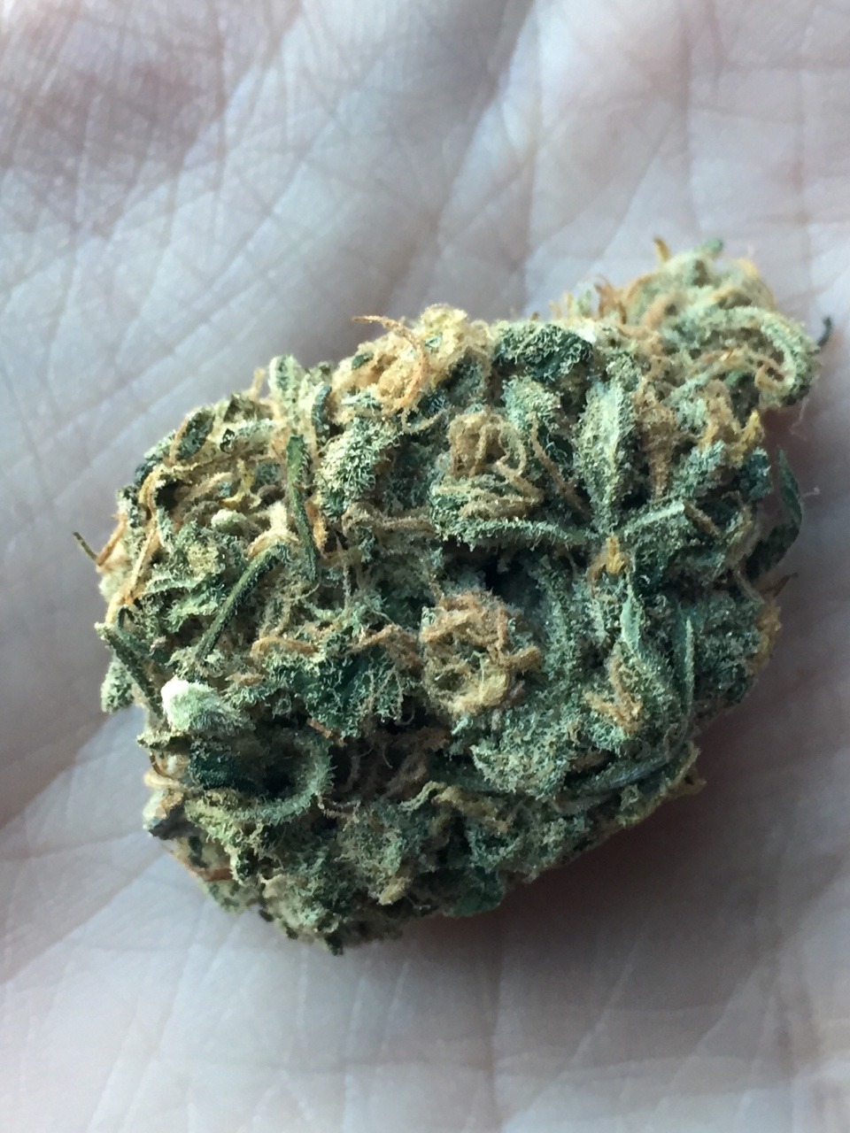 awakeningavalon:  Double Dream Silver Dream Haze Purple Kush 