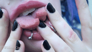 willowkitty:  Oral Fixation | Split Tongue (12 minutes 24 seconds)  * GIFs are low quality, Video is HD * My first video is available now! This video is for those of you with an Oral Fixation. There is no eye contact, and no talking in this video. Take