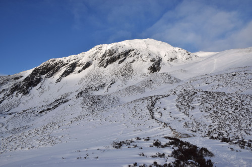 Ben Vrackie in Deep SnowThis walk was both incredibly exhausting and exciting. Exhausting because I 