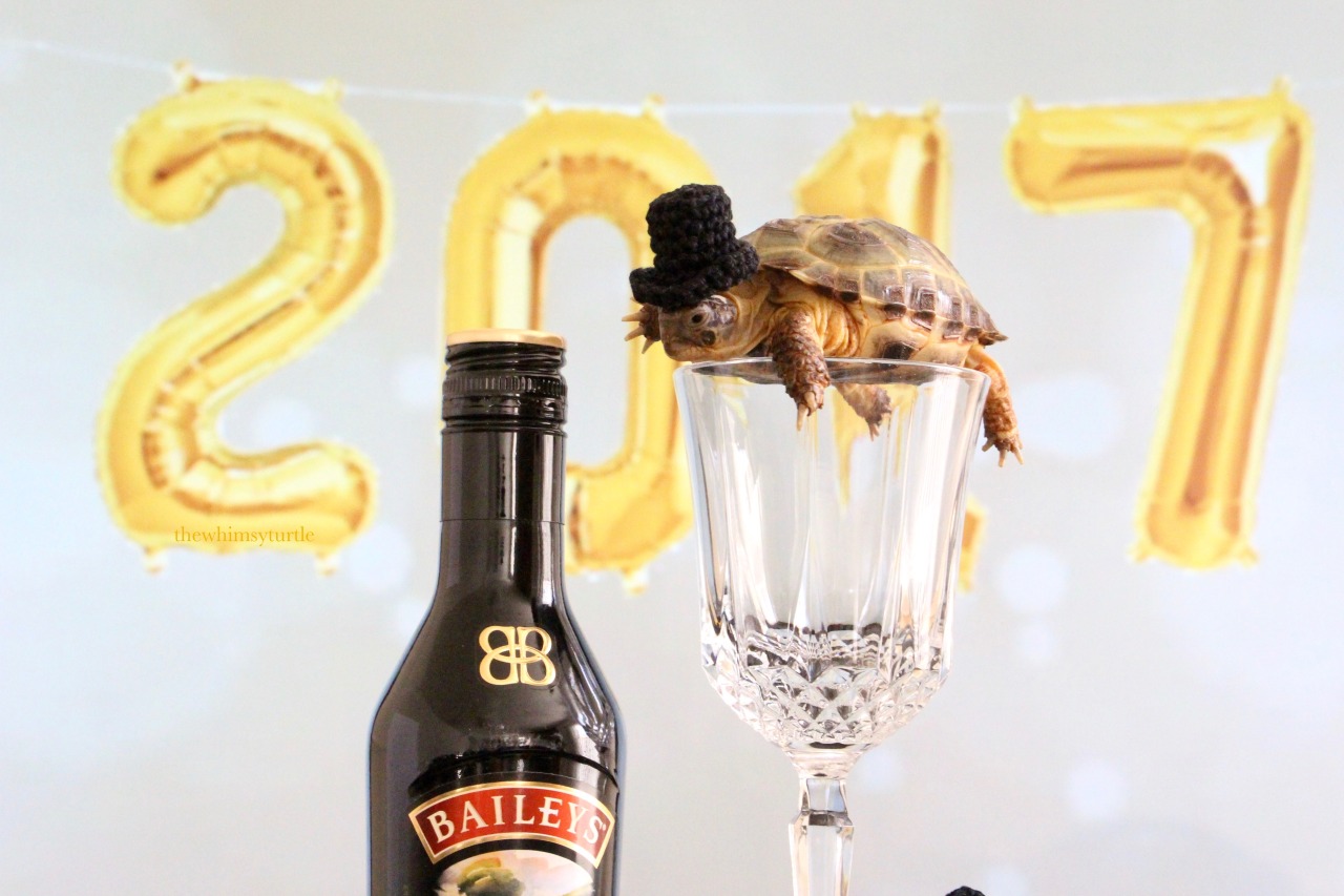 thewhimsyturtle:  thewhimsyturtle:  🎉🎩🐢  Happy New Year, Tumblr!  🥂🍾🎊