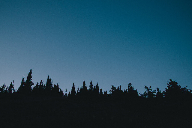 junkierich:     Follow this beautiful B&amp;W Blog