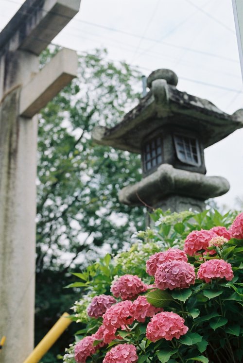 zyu10:Omi-Hachiman, Japan, 2015