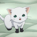 kittaface avatar