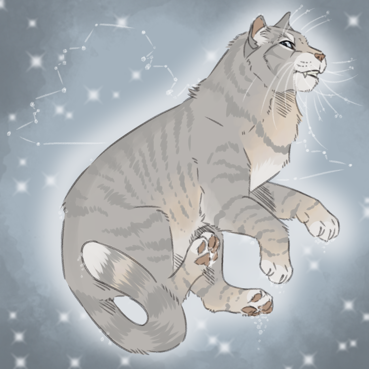 Slugs genetically accurate cats — Ashfur redo (Blue spotted tabby with low  white