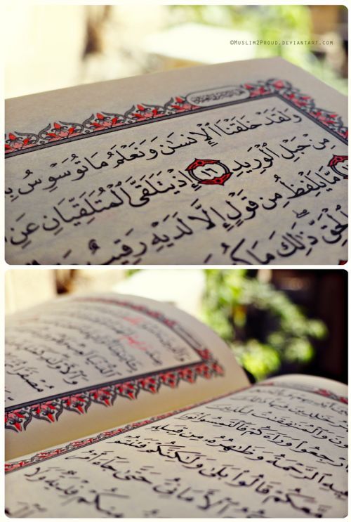 Open Mushaf Showing Surat Qaf (Top) and Surat al-Hadid (Bottom)www.IslamicArtDB.com » Quranic Verses » Surat Qaf