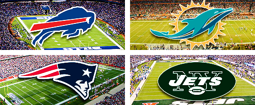 thegameswelove:  National Football League teams and their stadium (inspired by x)   Back in action!