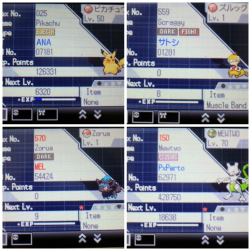 blackyhoneybubu:  It’s time for a Shiny and Event Pokémon Giveaway!Rules: Gen 5 games only (BW & BW2) Reblog & Likes count  Must be traded via WFC No Giveaway Blogs You don’t need to follow me first prize~ -Genesect ”Extremespeed Genesect: