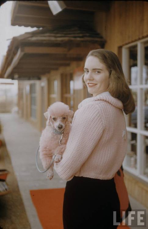 Your poodle should always match your sweater(Nina Leen. 1956)