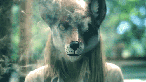 lsd-kitty:  ✖Drugs✖